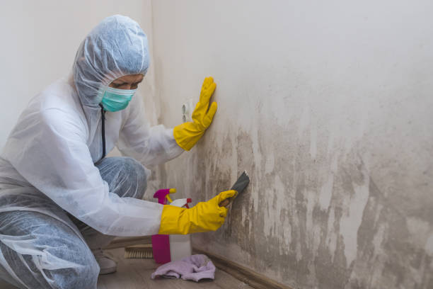 Best Biohazard Mold Removal  in Durham, CA
