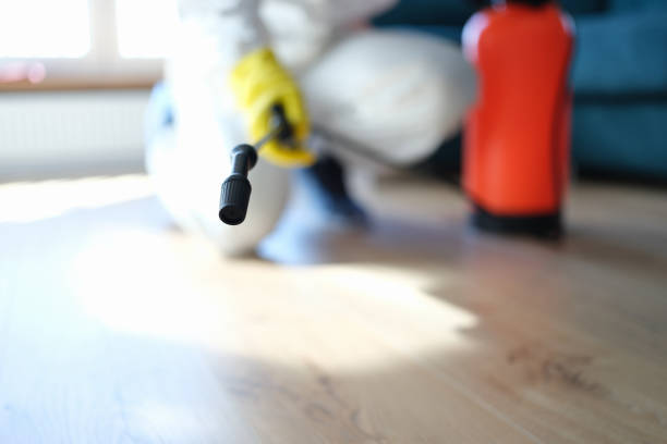 Best Post-Remediation Verification Testing  in Durham, CA