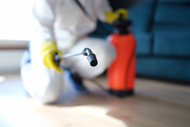 Best Commercial Mold Inspection  in Durham, CA