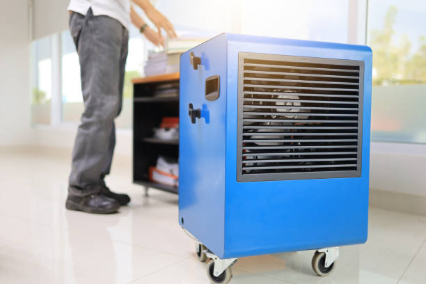  Durham, CA Mold Removal Pros