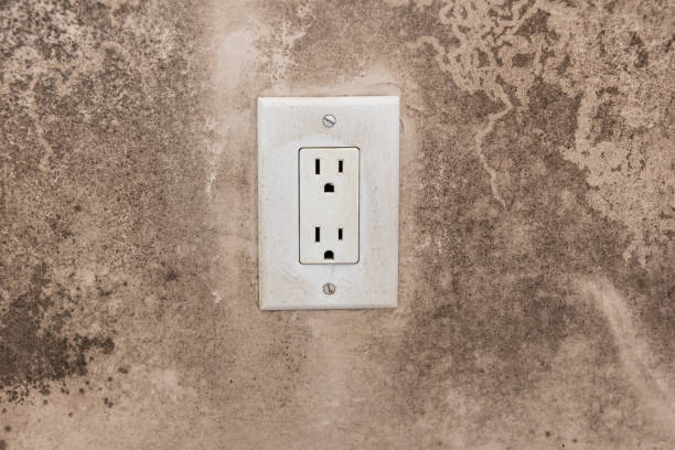 Best Mold Prevention Services  in Durham, CA
